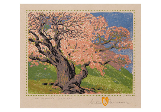 Gustave Baumann: The Bishop’s Apricot Small Boxed Cards_Primary