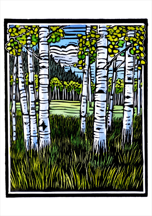 Molly Hashimoto: Trees Boxed Notecard Assortment_Front_3D
