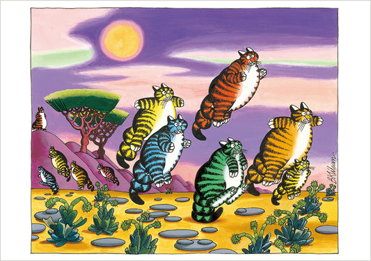 B. Kliban: CatFun Boxed Notecard Assortment_Front_3D