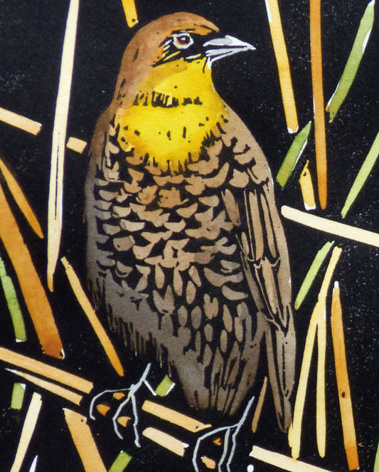 Molly Hashimoto: Yellow-headed Blackbird Bookmark_Front_Flat