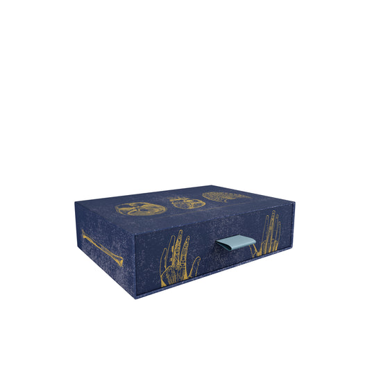 Vintage Anatomy Slipcase Boxed Notecards_Front_3D