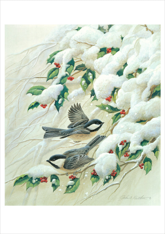 John Ruthven: Black Capped Chickadees Holiday Cards_Primary