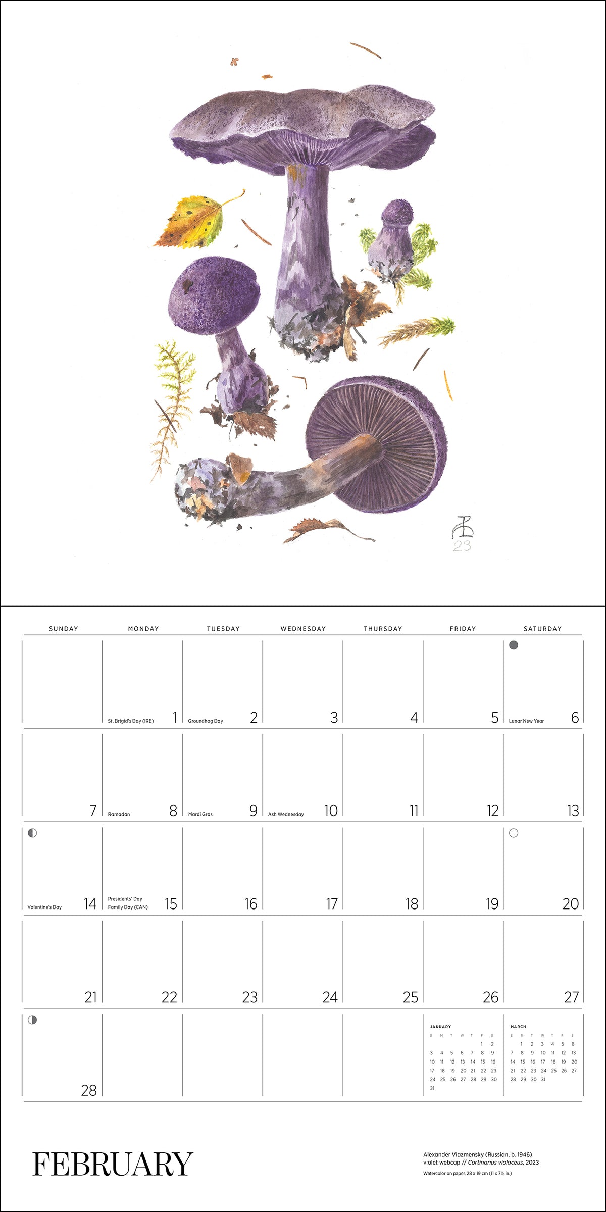 Mushrooms: Alexander Viazmensky 2027 Wall Calendar_Interior_2
