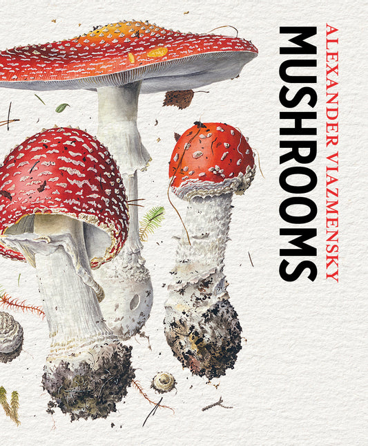Mushrooms: Alexander Viazmensky Knowledge Cards_Front_3D