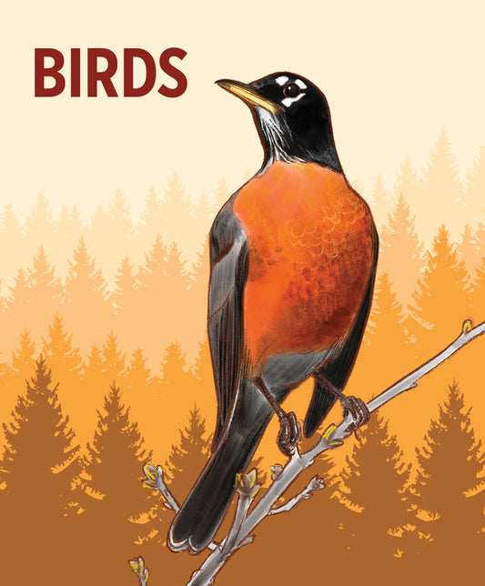 Birds Knowledge Cards_Front_3D