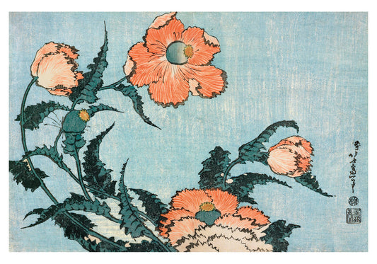 Hokusai: Poppies Small Boxed Cards_Primary