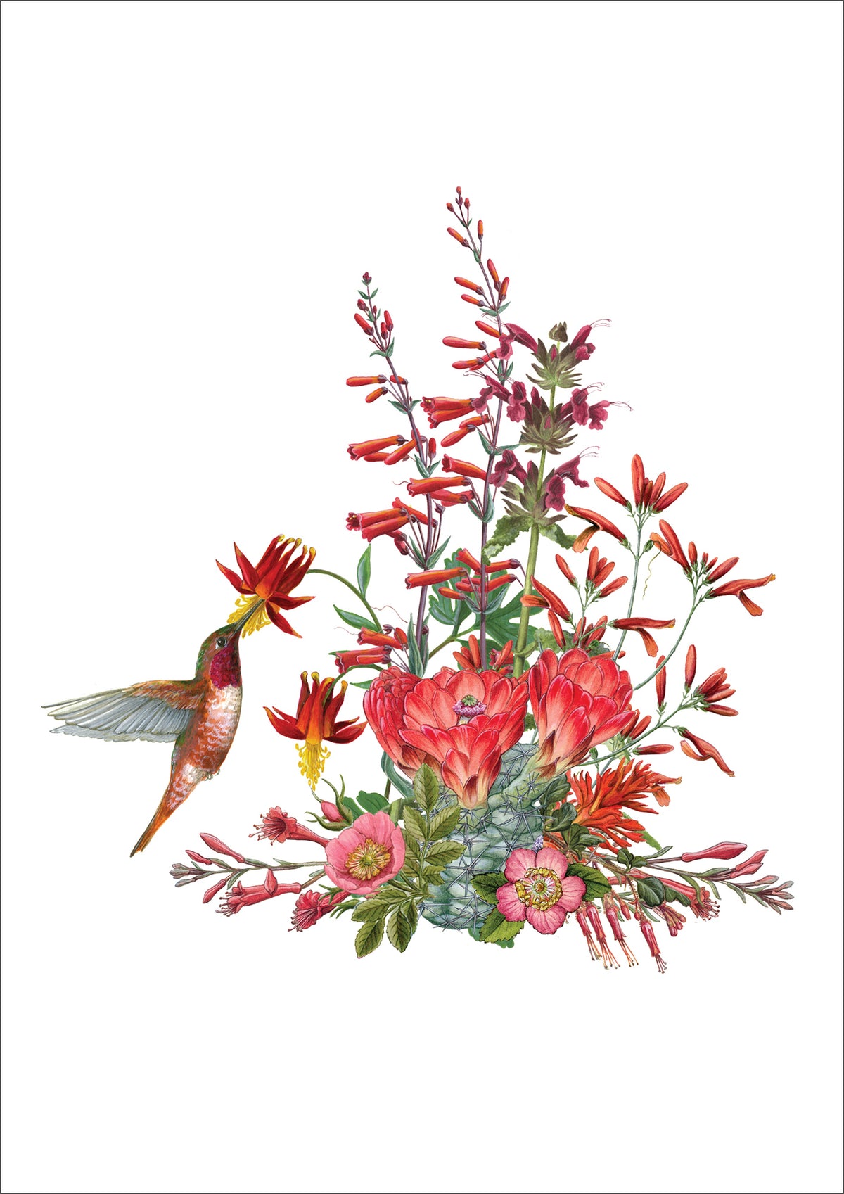 Erin E. Hunter: California Wildflowers in Red Small Boxed Cards_Zoom