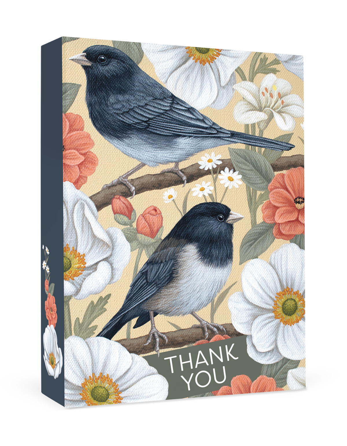 Vasilisa Romanenko: Dark-eyed Juncos Thank You Notes_Primary