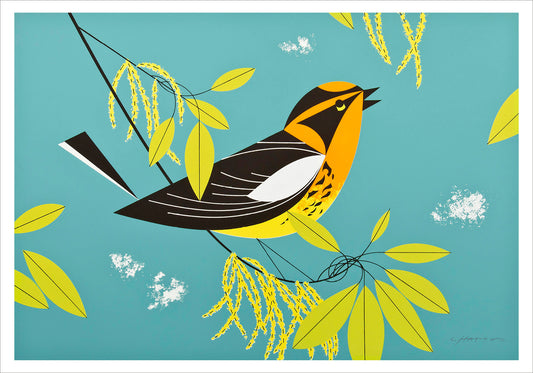 Charley Harper: Blackburnian Warbler Small Boxed Cards_Primary