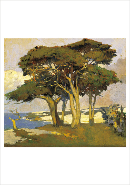 Arthur F. Mathews: Cypresses Boxed Notecard Assortment_Front_3D