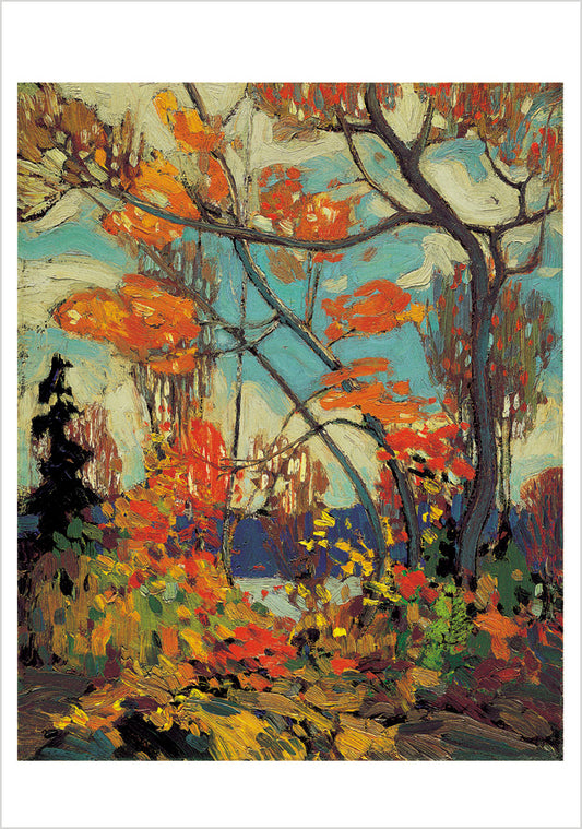 Tom Thomson Boxed Notecard Assortment_Front_3D