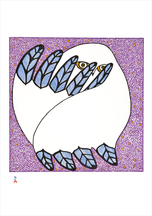Owls: Inuit Art from Kinngait Boxed Notecard Assortment_Front_3D