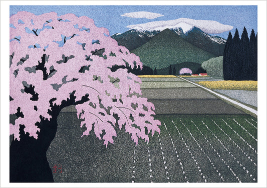 Kazuyuki Ohtsu: Cherry Trees Boxed Notecard Assortment_Front_3D