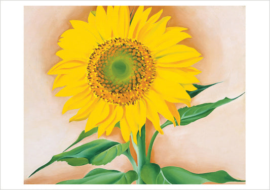 Georgia O'Keeffe: Sunflowers Notecard Folio_Front_Flat