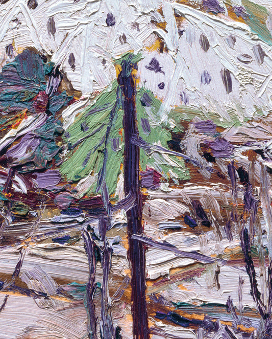 Tom Thomson: Snow in the Woods Bookmark_Front_Flat