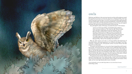 Owls: The Paintings of Jeannine Chappell_Front_Flat