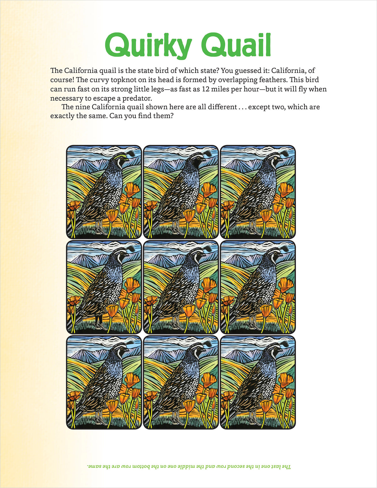 Molly Hashimoto’s Art & Nature Activity Book_Interior_1