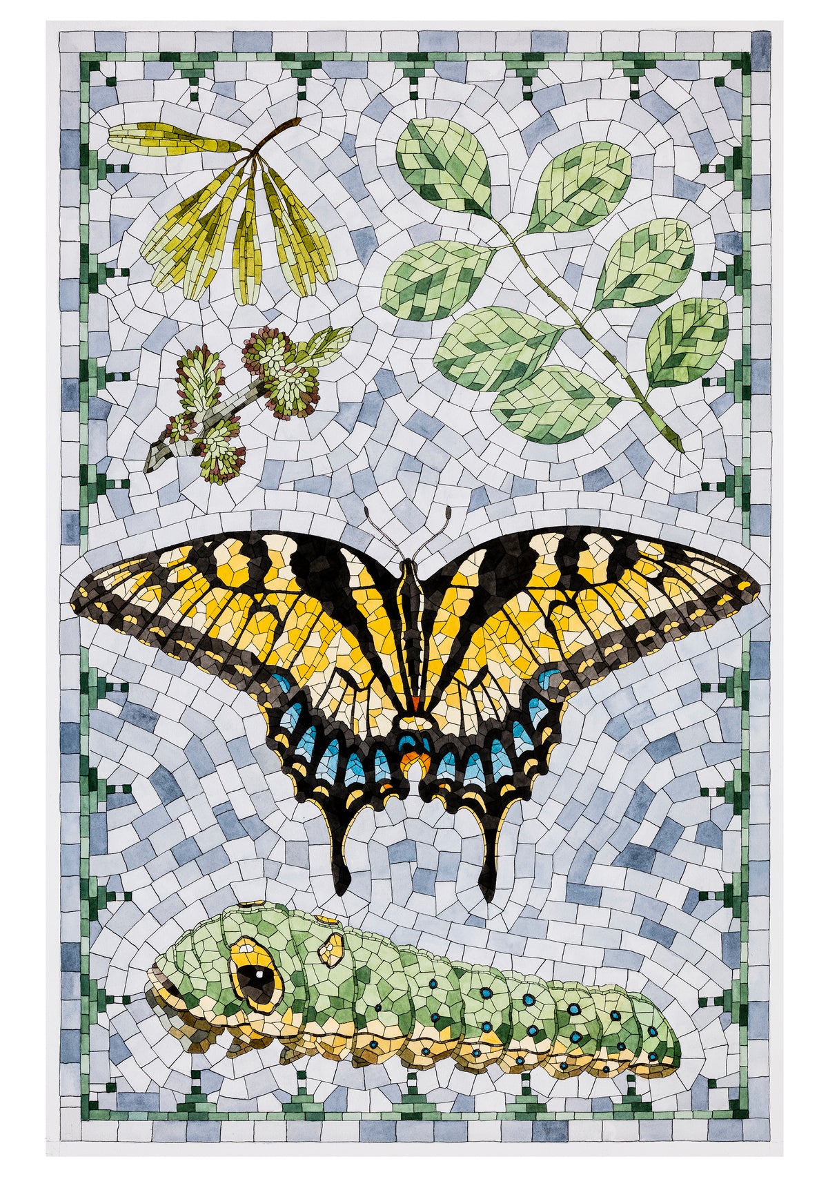 David Cohen: Butterflies Boxed Notecard Assortment_Interior_1