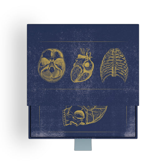 Vintage Anatomy Slipcase Boxed Notecards_Front_3D