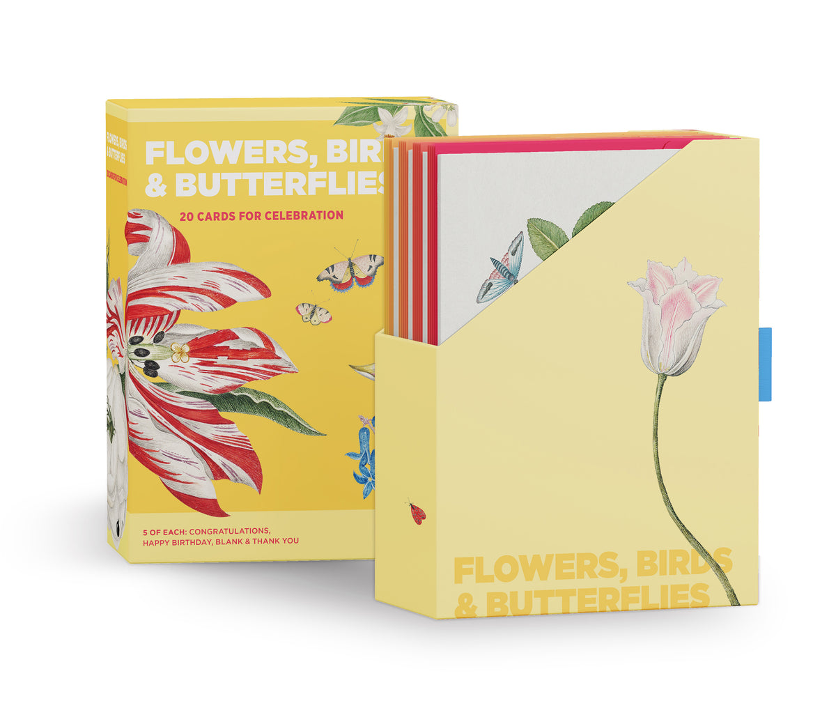 Flowers, Birds & Butterflies Celebrations Boxed Notecards_Zoom