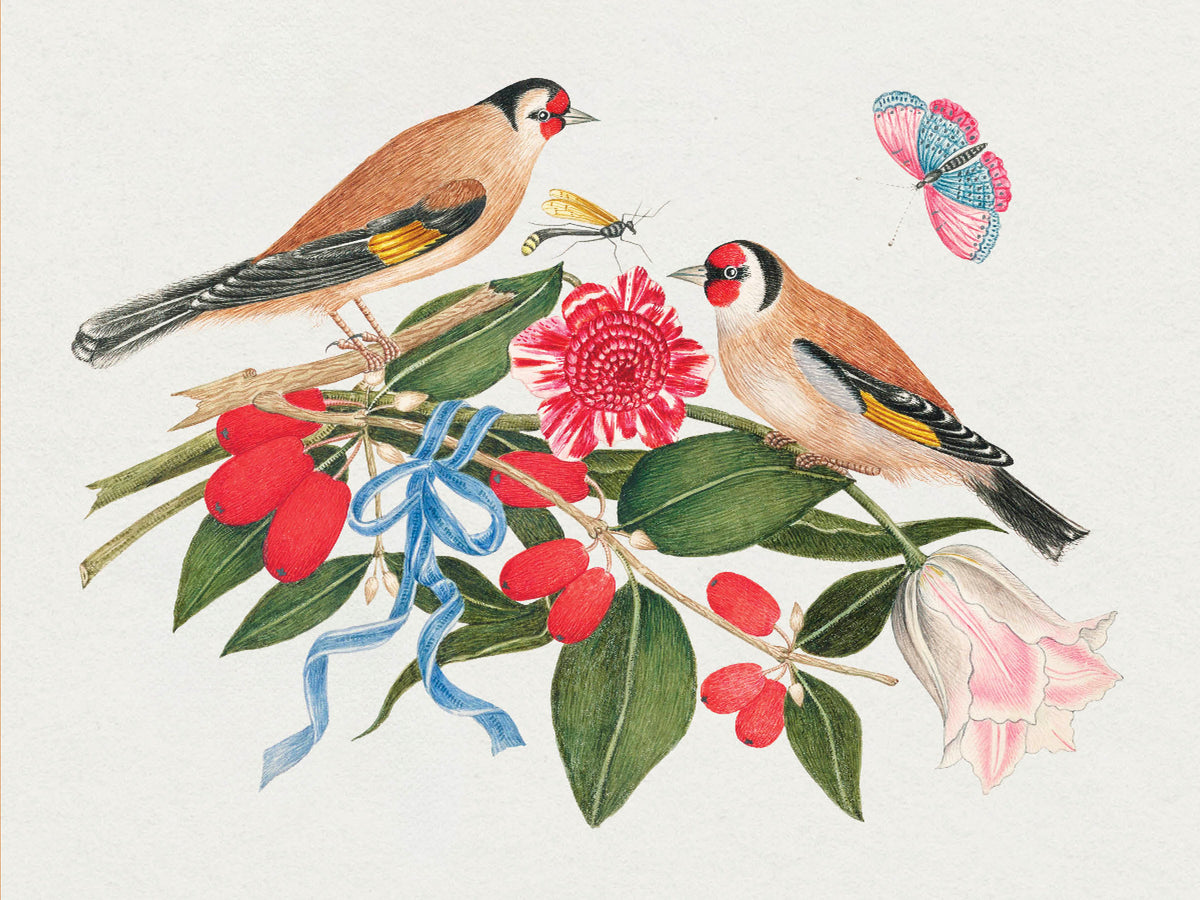 Flowers, Birds & Butterflies Celebrations Boxed Notecards_Interior_4