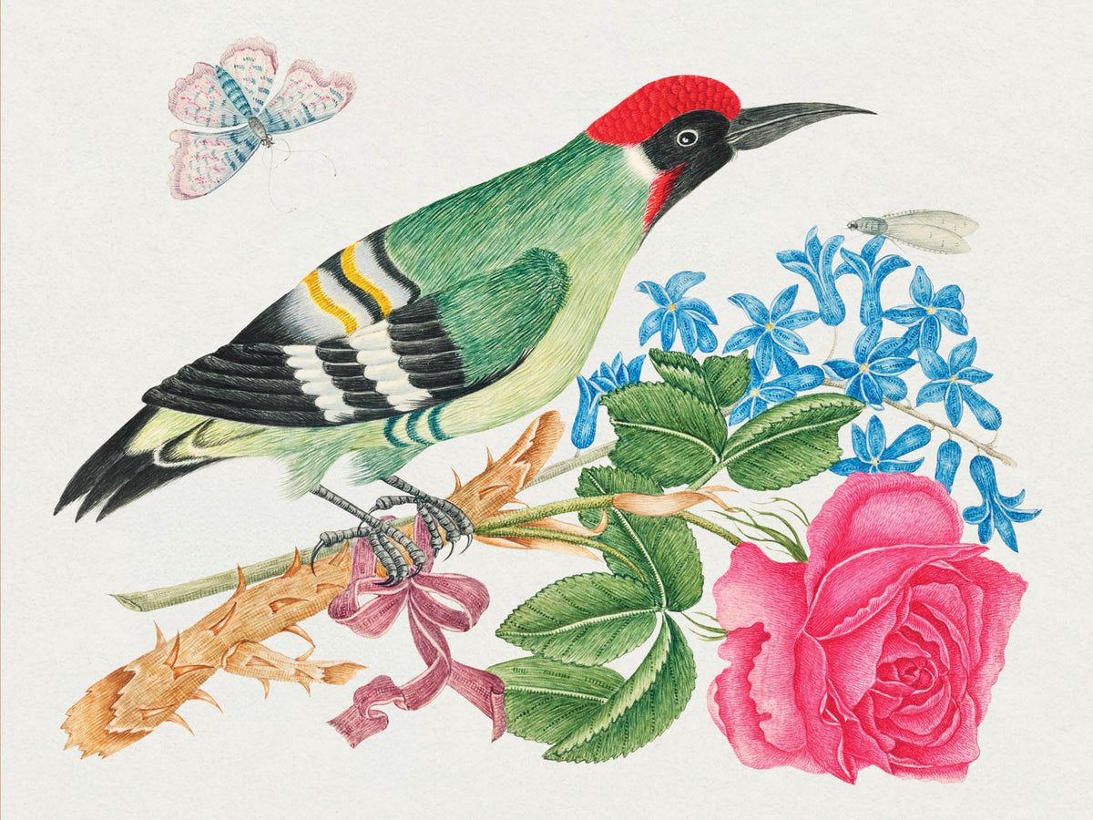 Flowers, Birds & Butterflies Celebrations Boxed Notecards_Back_Multipiece