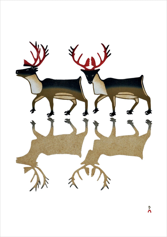 Kananginak Pootoogook: Caribou Reflection Holiday Cards_Primary