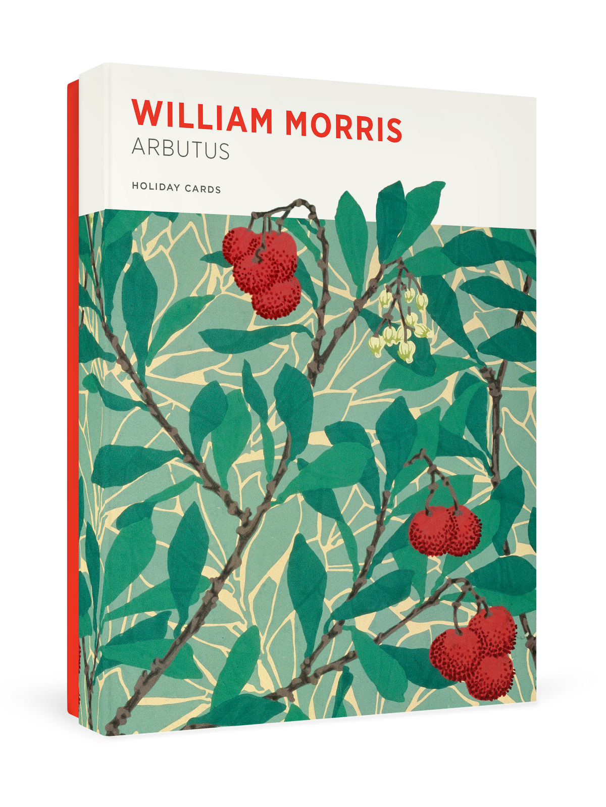 William Morris: Arbutus Holiday Cards_Primary