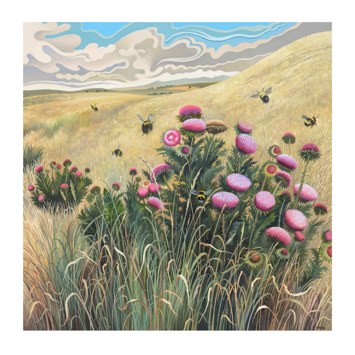 Phyllis Shafer: Nature Divine 2027 Wall Calendar_Zoom