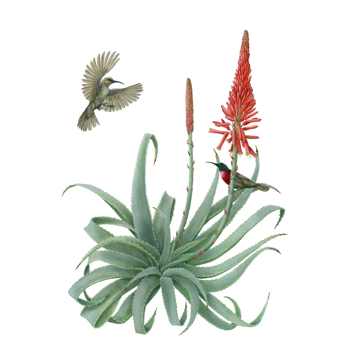 Erin E. Hunter: Pollinators 2027 Wall Calendar_Zoom