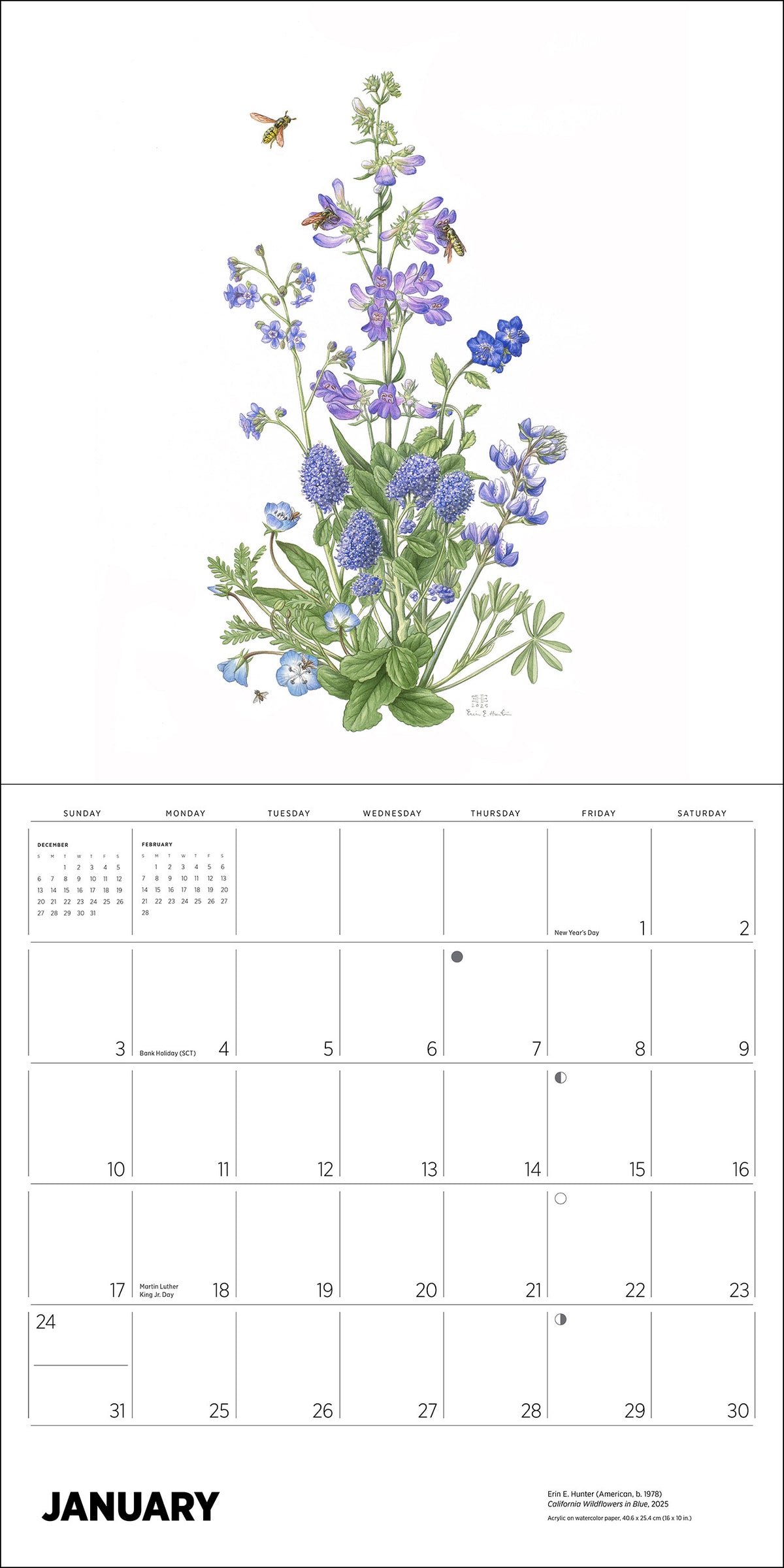 Erin E. Hunter: Pollinators 2027 Wall Calendar_Interior_1