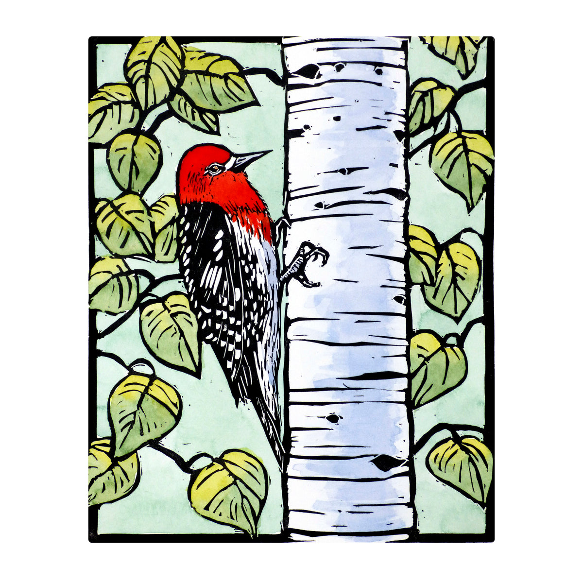 Molly Hashimoto: Birds 2027 Wall Calendar_Zoom
