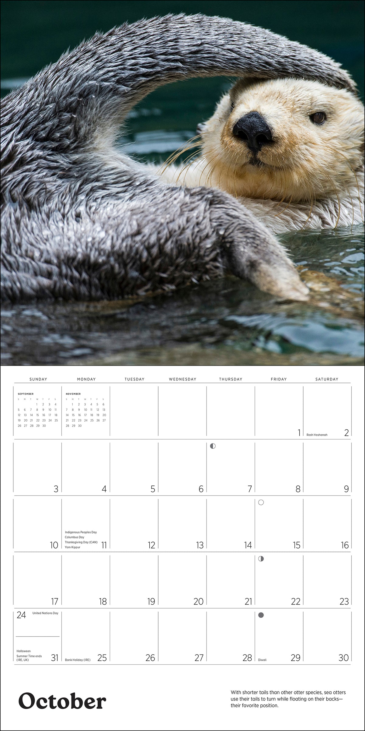 Sea Otters: Photographs by Tom and Pat Leeson 2027 Wall Calendar_Interior_2