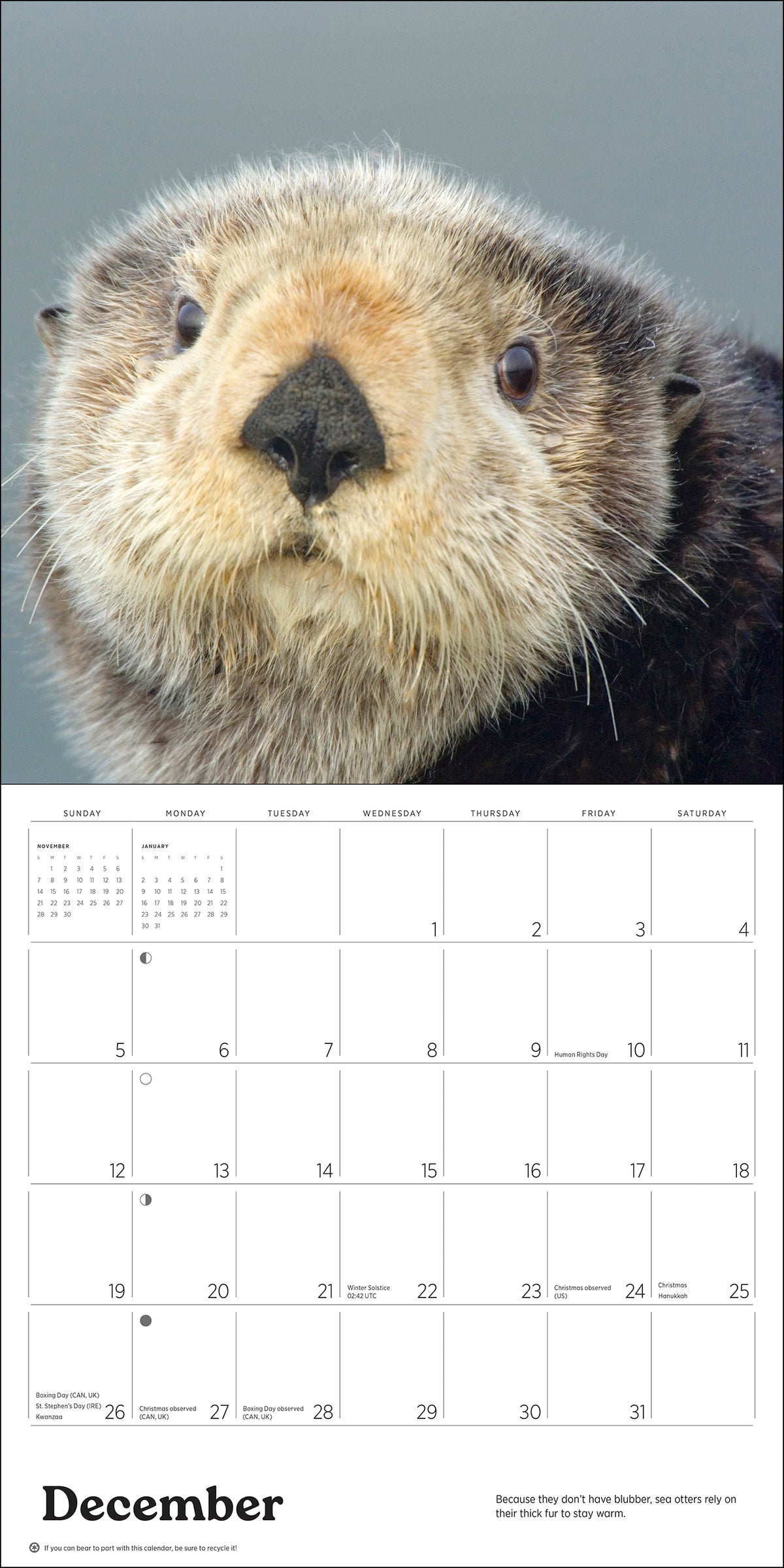 Sea Otters: Photographs by Tom and Pat Leeson 2027 Wall Calendar_Interior_3