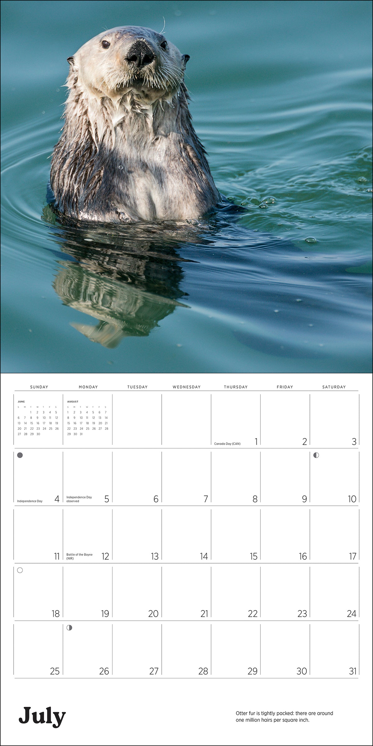 Sea Otters: Photographs by Tom and Pat Leeson 2027 Wall Calendar_Interior_5