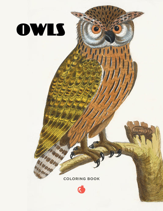 Owls Coloring Book_Primary