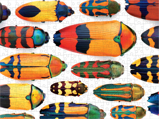 Christopher Marley: Beautiful Beetles 300-piece Jigsaw Puzzle_Primary