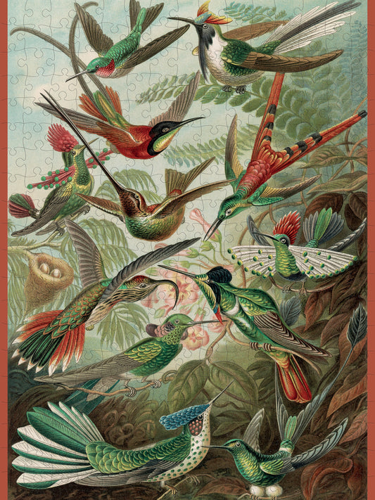 Ernst Haeckel: Hummingbirds 300-Piece Jigsaw Puzzle_Primary