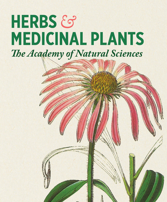 Herbs and Medicinal Plants Knowledge Cards_Front_3D