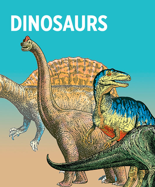 Dinosaurs Knowledge Cards_Primary