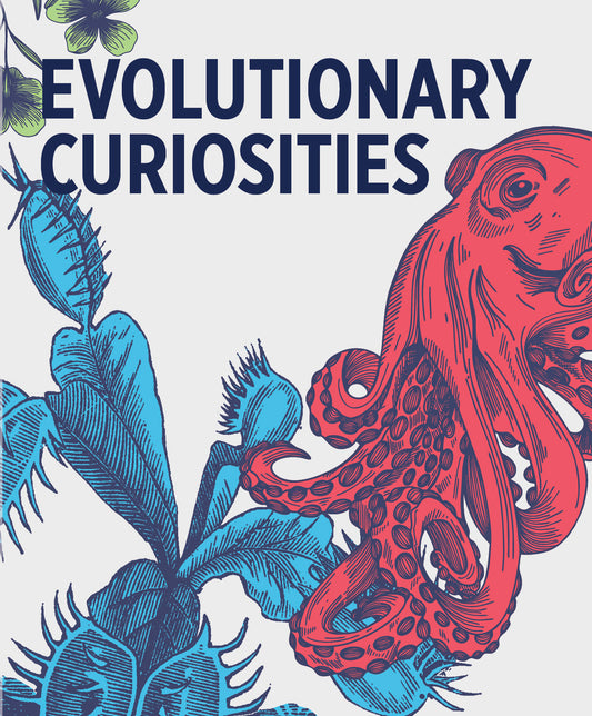 Evolutionary Curiosities Knowledge Cards_Primary
