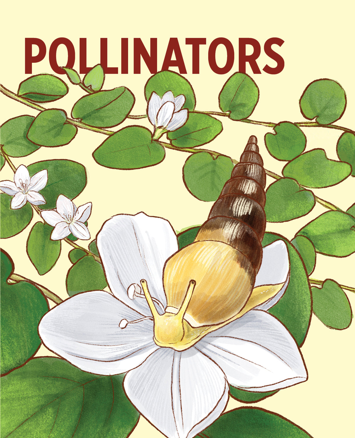 Pollinators Knowledge Cards_Zoom
