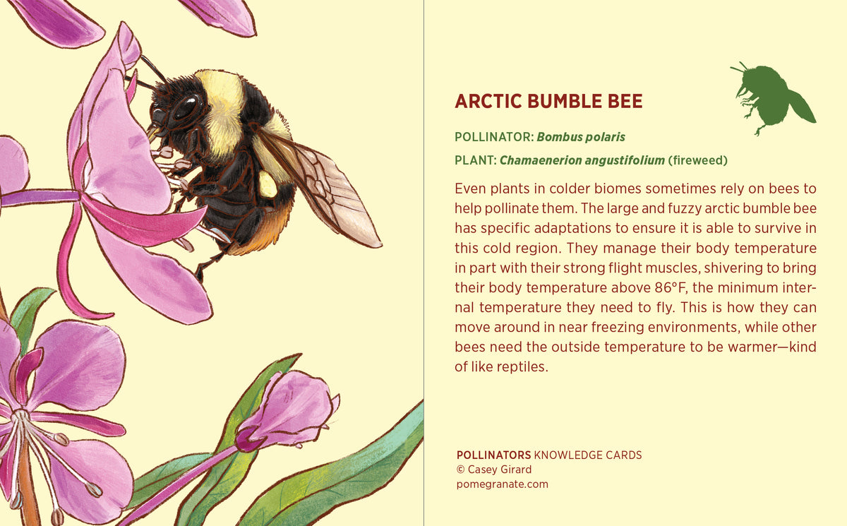 Pollinators Knowledge Cards_Interior_1