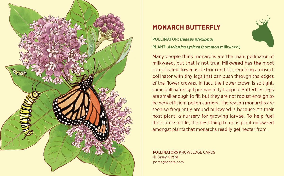 Pollinators Knowledge Cards_Interior_3