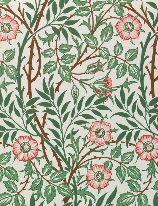 William Morris Keepsake Boxed Notecards_Front_Flat