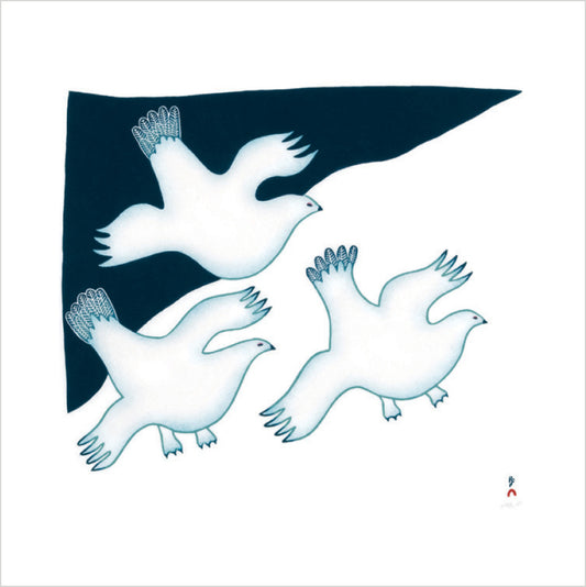 Arctic Animals from Kinngait Memory Game_Primary