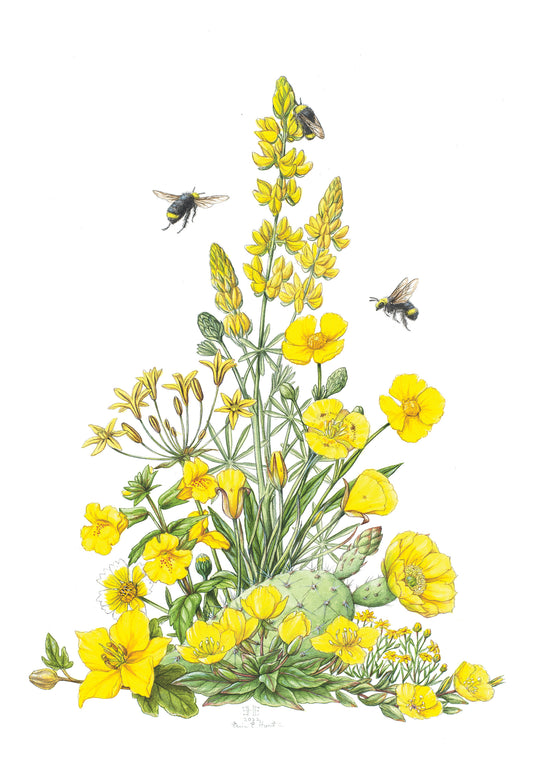 Erin E. Hunter: California Wildflowers in Yellow Notecard_Front_Flat