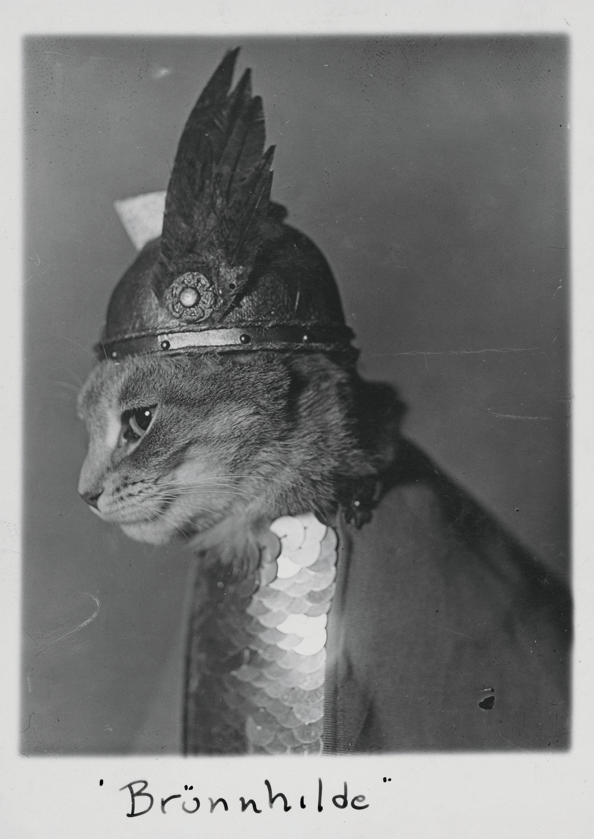 Brünnhilde Postcard_Front_Flat