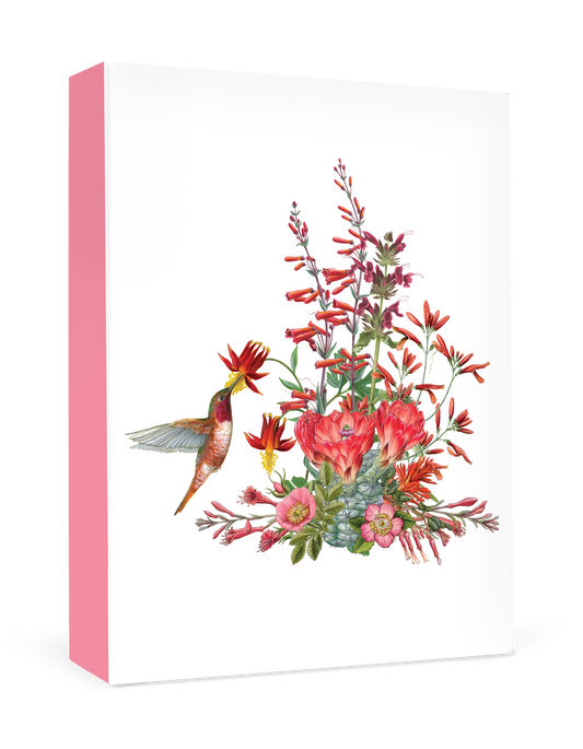 Erin E. Hunter: California Wildflowers in Red Small Boxed Cards_Primary