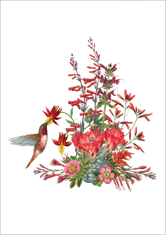 Erin E. Hunter: California Wildflowers in Red Small Boxed Cards_Primary